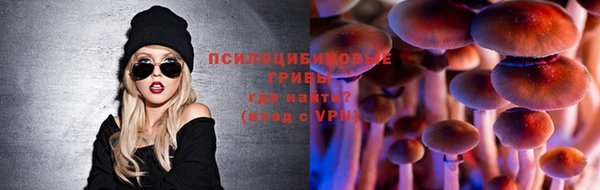 сатива Куйбышев