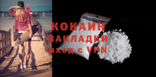 сатива Куйбышев