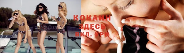 дживик Кулебаки