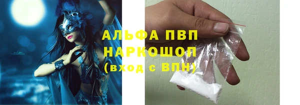 сатива Куйбышев