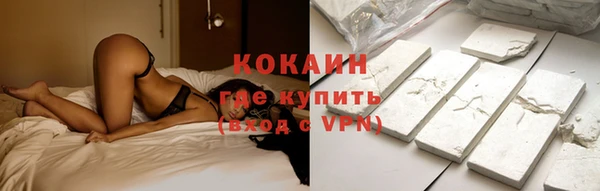 дживик Кулебаки