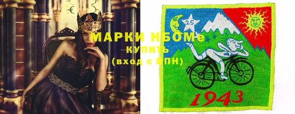 сатива Куйбышев