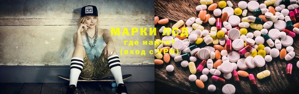 сатива Куйбышев