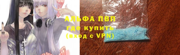 сатива Куйбышев
